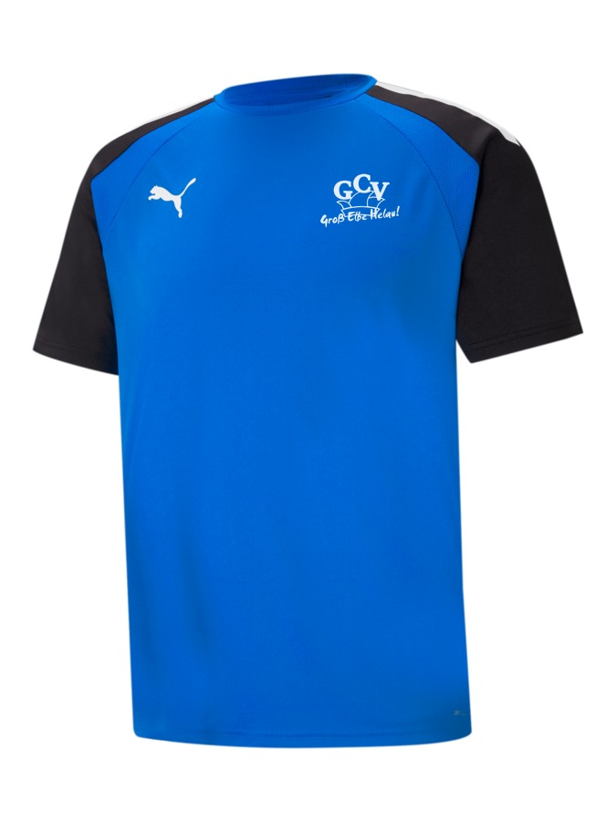 PUMA teamPACER Trikot