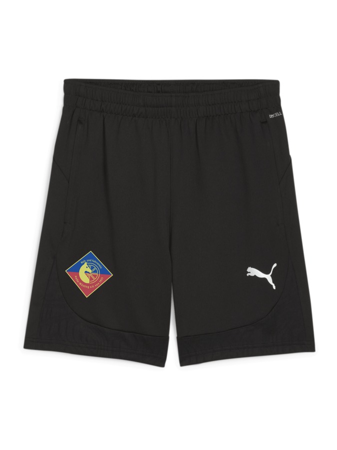 PUMA teamFINAL Training Shorts