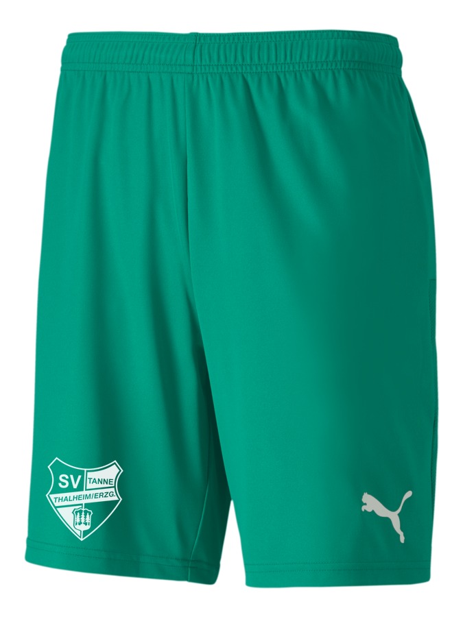 PUMA teamGOAL 23 Knit Shorts