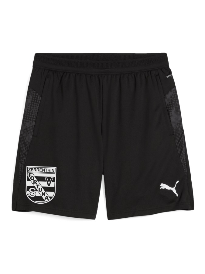 PUMA teamCUP Training Shorts