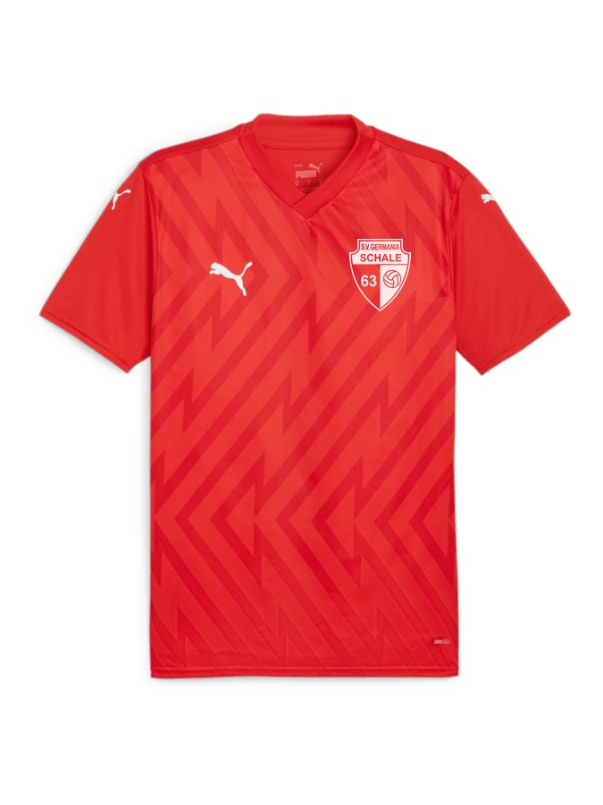 PUMA teamGLORY Trikot