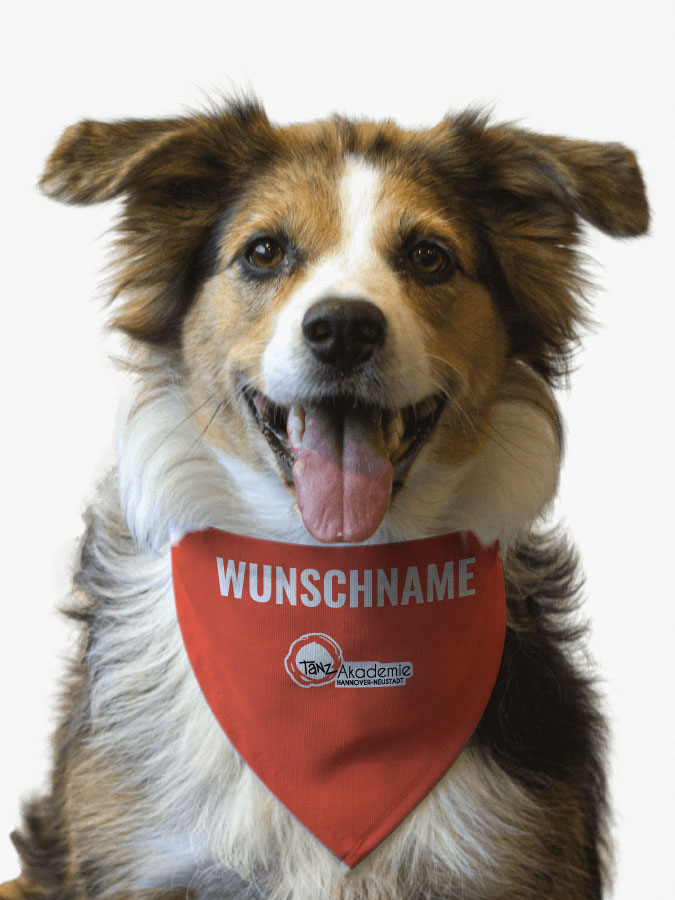 Hundehalstuch