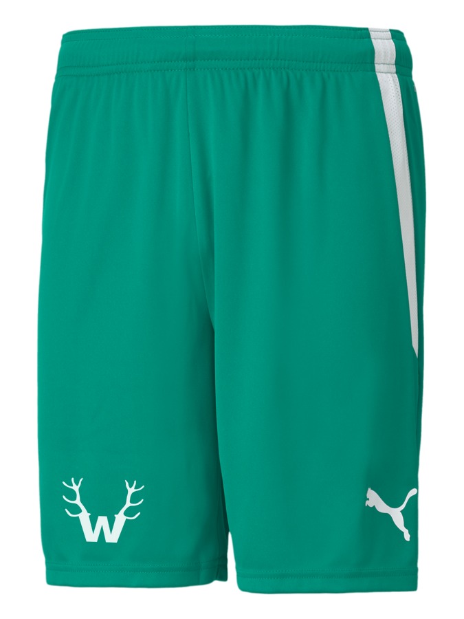 PUMA teamLIGA Shorts
