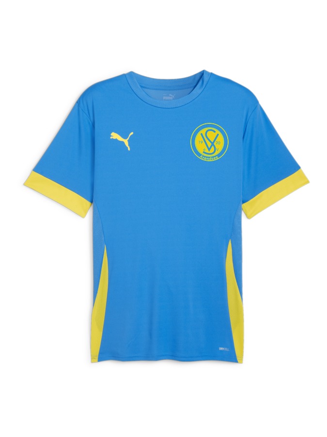 PUMA teamGOAL Matchday Trikot