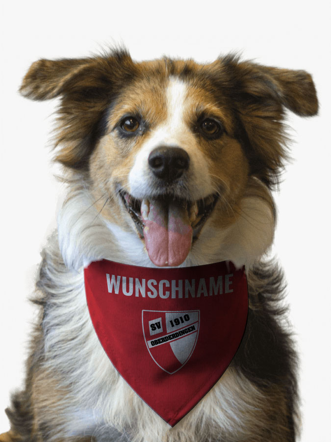 Hundehalstuch