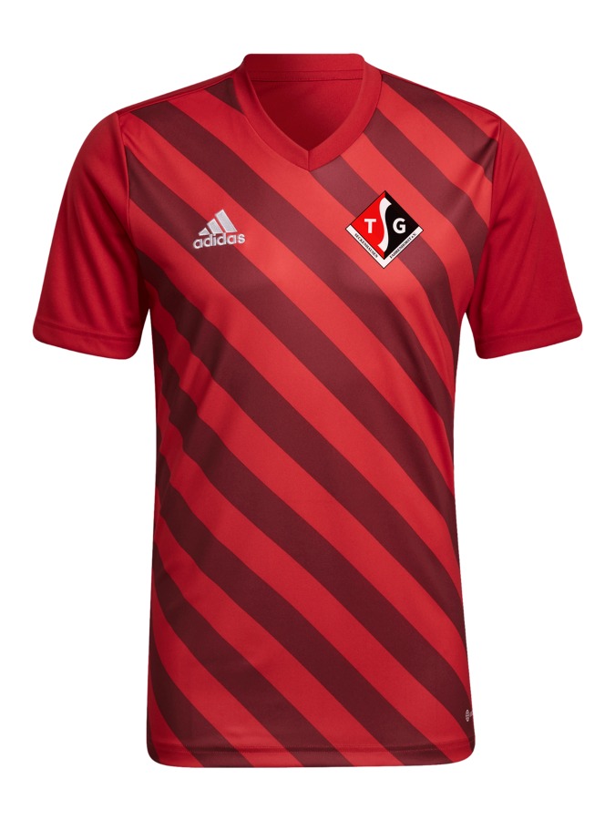 adidas Entrada 22 GFX Trikot