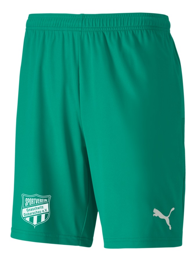 PUMA teamGOAL 23 Knit Shorts