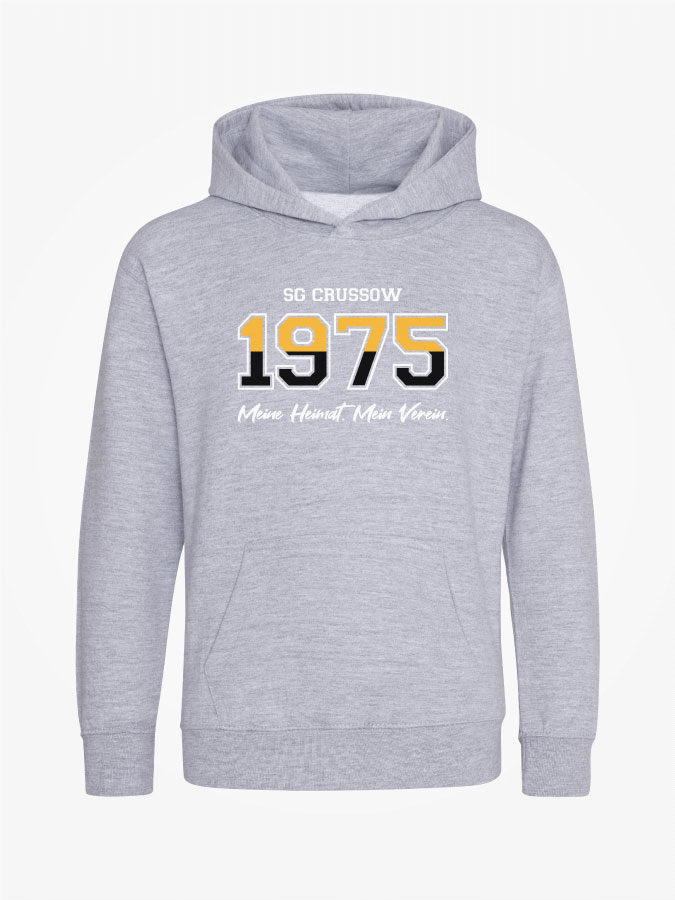 Hoodie Established Kids