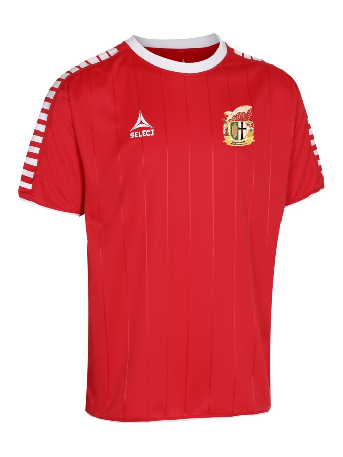 Select Argentina Trikot