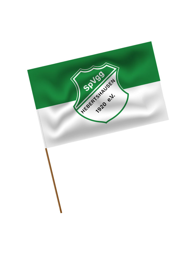 Stadionfahne Logo