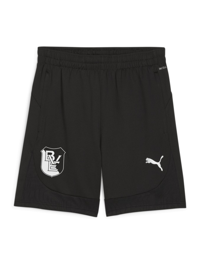 PUMA teamFINAL Training Shorts