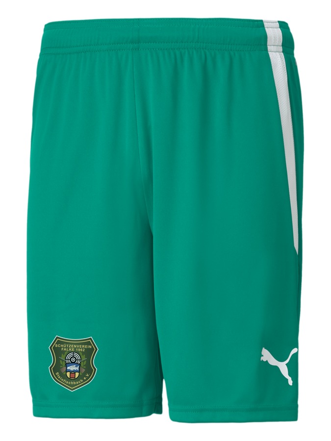PUMA teamLIGA Shorts
