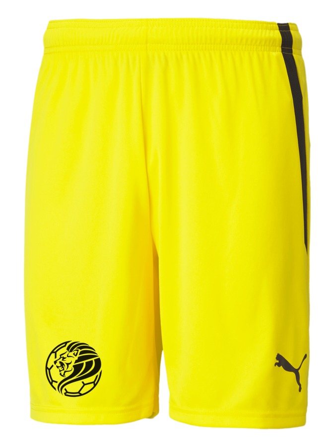 PUMA teamLIGA Shorts