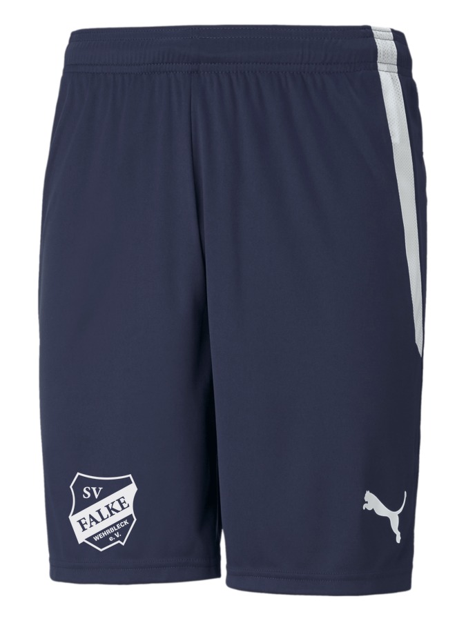PUMA teamLIGA Shorts