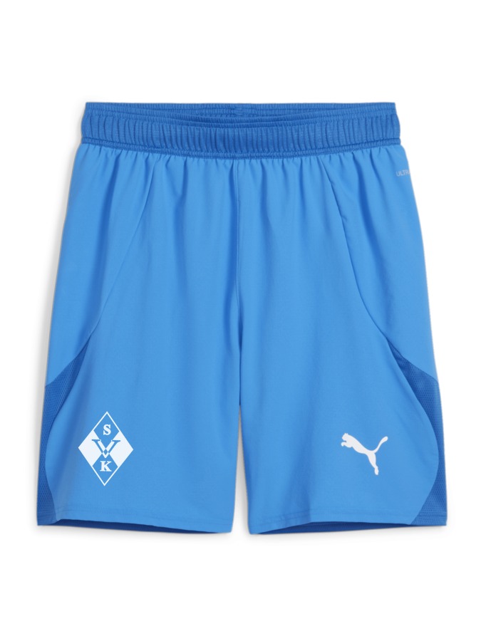 PUMA teamFINAL Shorts