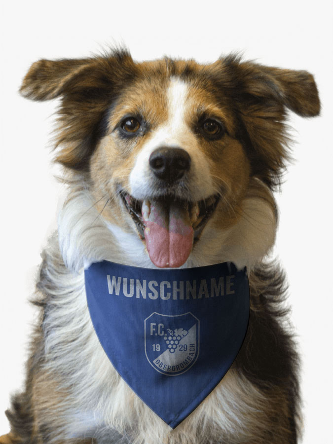 Hundehalstuch