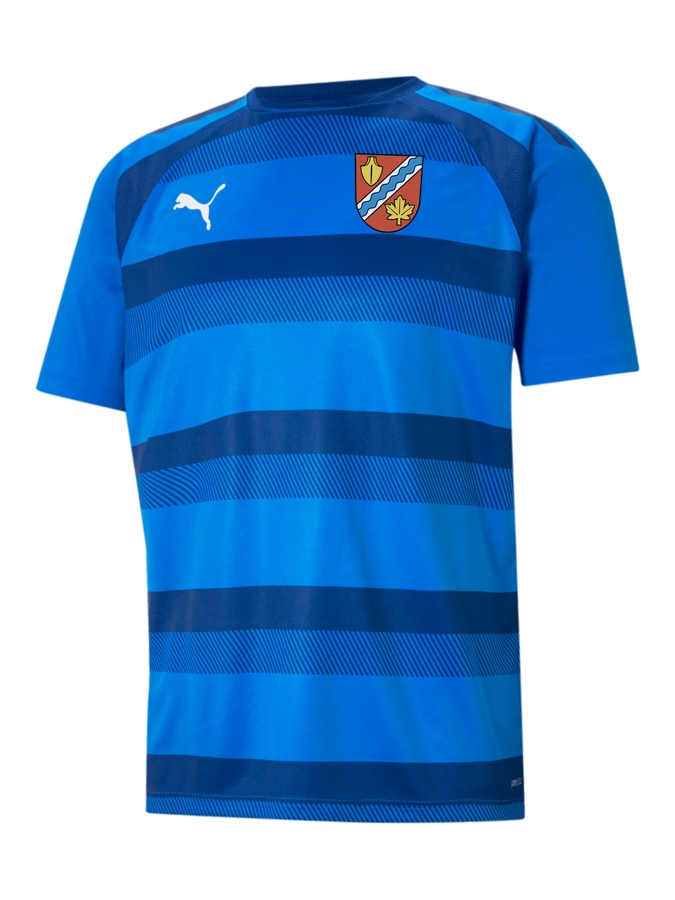 PUMA teamVISION Trikot