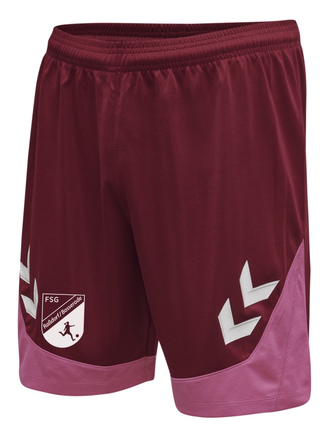 Hummel Lead Trainingsshorts