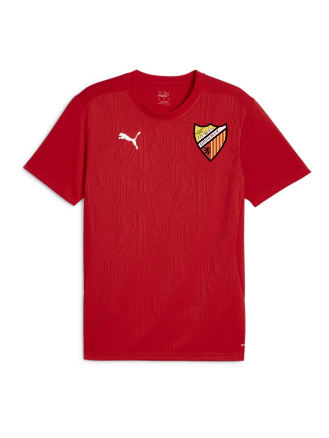 PUMA teamFINAL Trainingsshirt