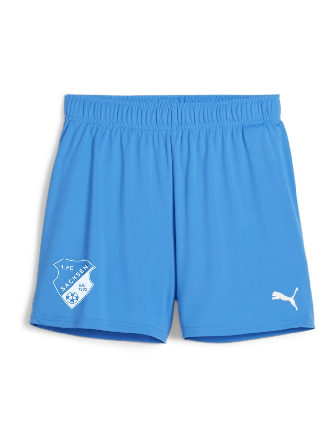 PUMA teamGOAL Handballshorts Damen