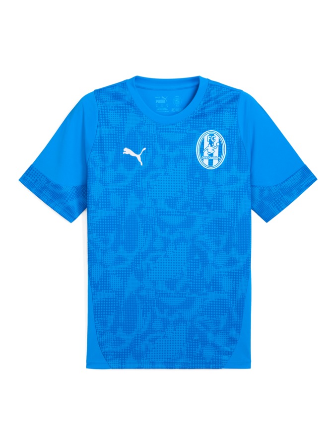 PUMA teamCUP Trainingsshirt