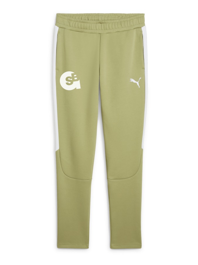 PUMA teamEVOSTRIPE Hose