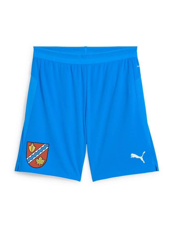 PUMA teamCUP Shorts