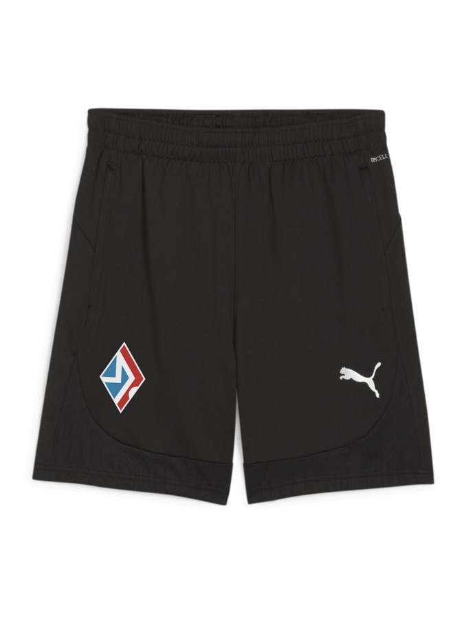 PUMA teamFINAL Training Shorts