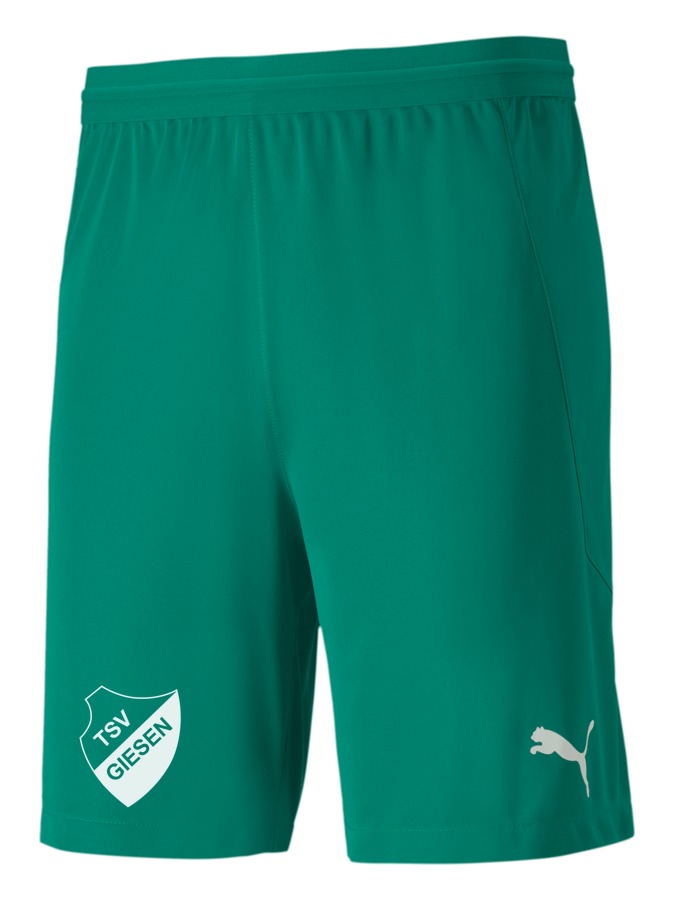 PUMA teamFINAL 21 Knit Shorts