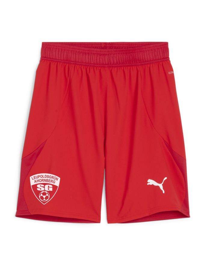 PUMA teamFINAL Shorts