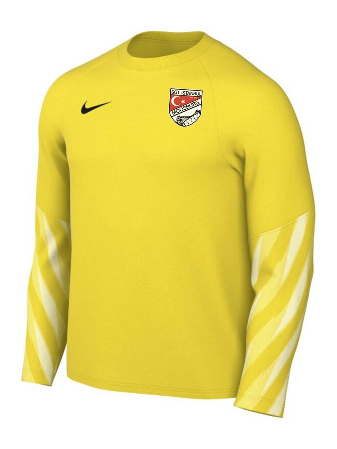 Nike Dri-FIT Park V Torwart Trikot Langarm