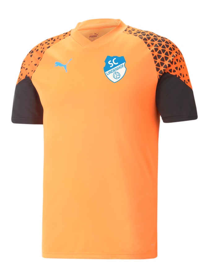 PUMA individualCUP Trainingsshirt