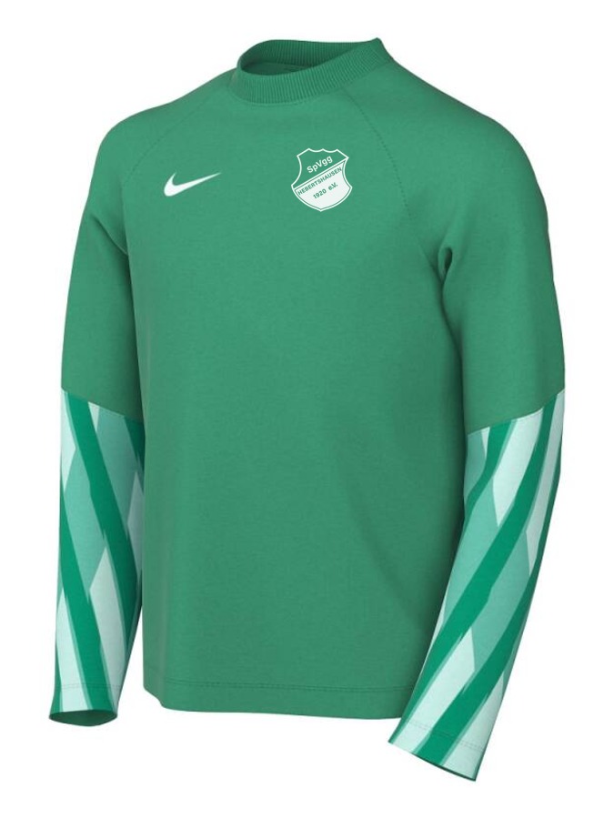Nike Dri-FIT Park V Torwart Trikot Langarm Kinder