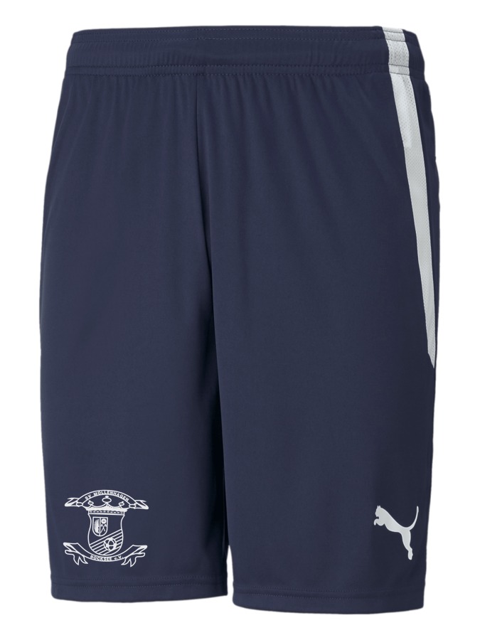 PUMA teamLIGA Shorts