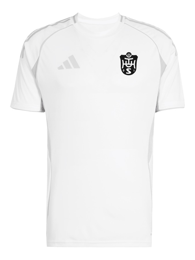 adidas Tiro 25 Competition Match Trikot