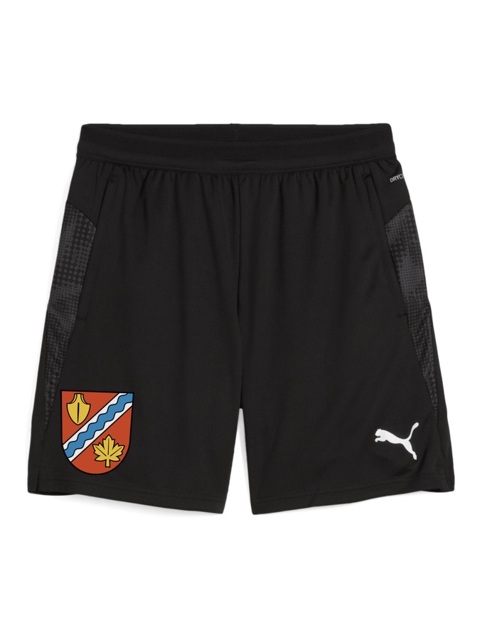 PUMA teamCUP Training Shorts