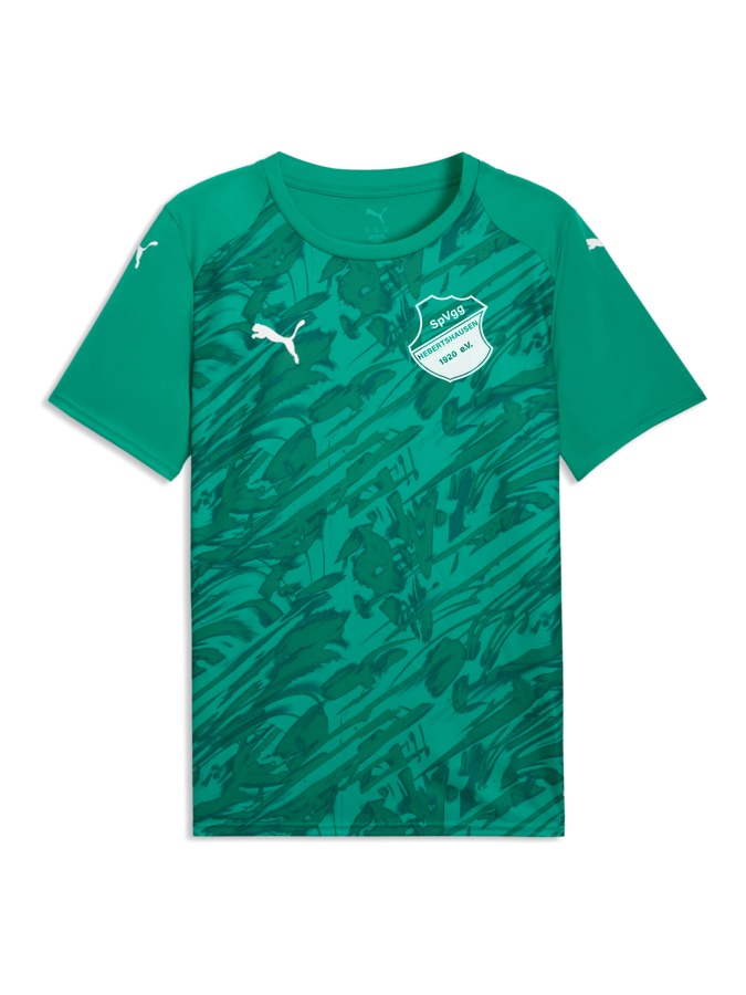 PUMA teamFINAL Graphic Trikot