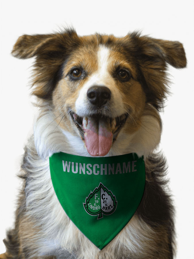 Hundehalstuch