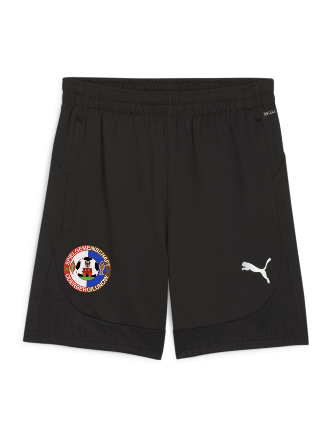 PUMA teamFINAL Training Shorts