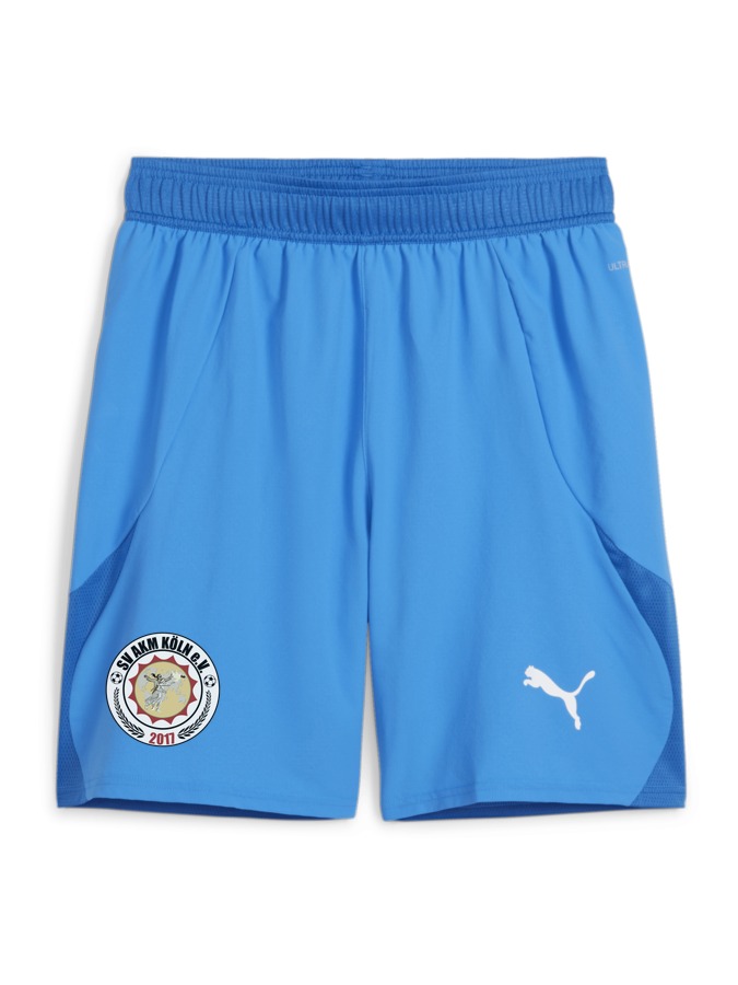 PUMA teamFINAL Shorts