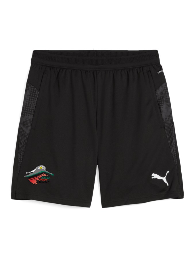 PUMA teamCUP Training Shorts