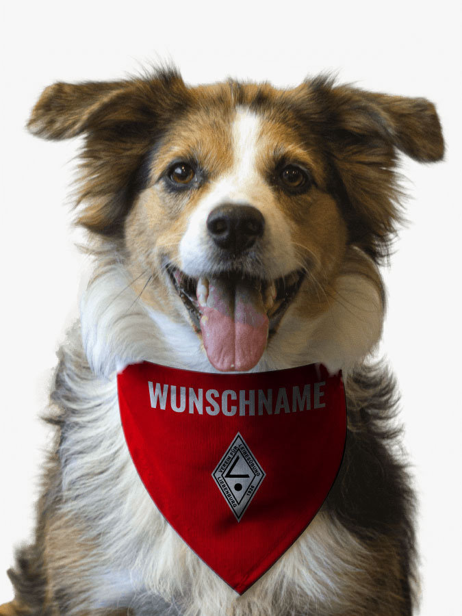 Hundehalstuch
