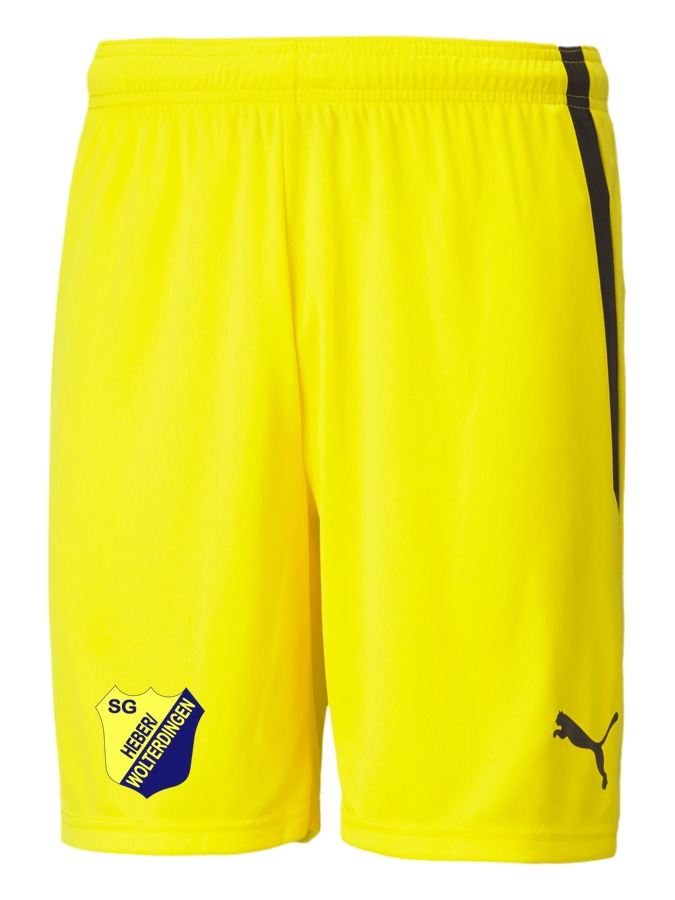 PUMA teamLIGA Shorts