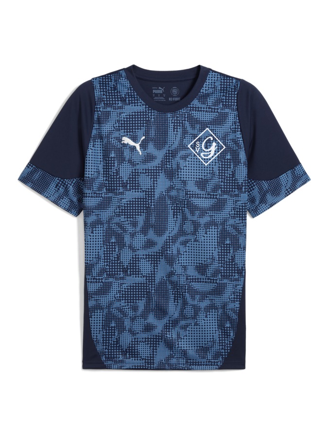 PUMA teamCUP Trainingsshirt