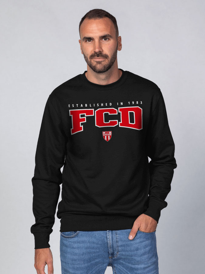 Sweater Retro Herren