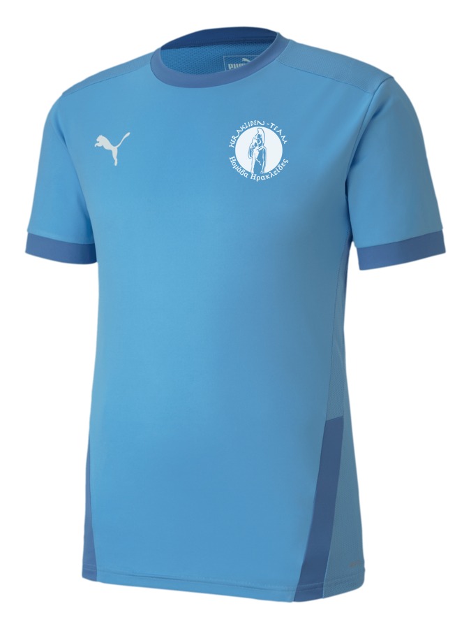 PUMA teamGOAL 23 Trikot