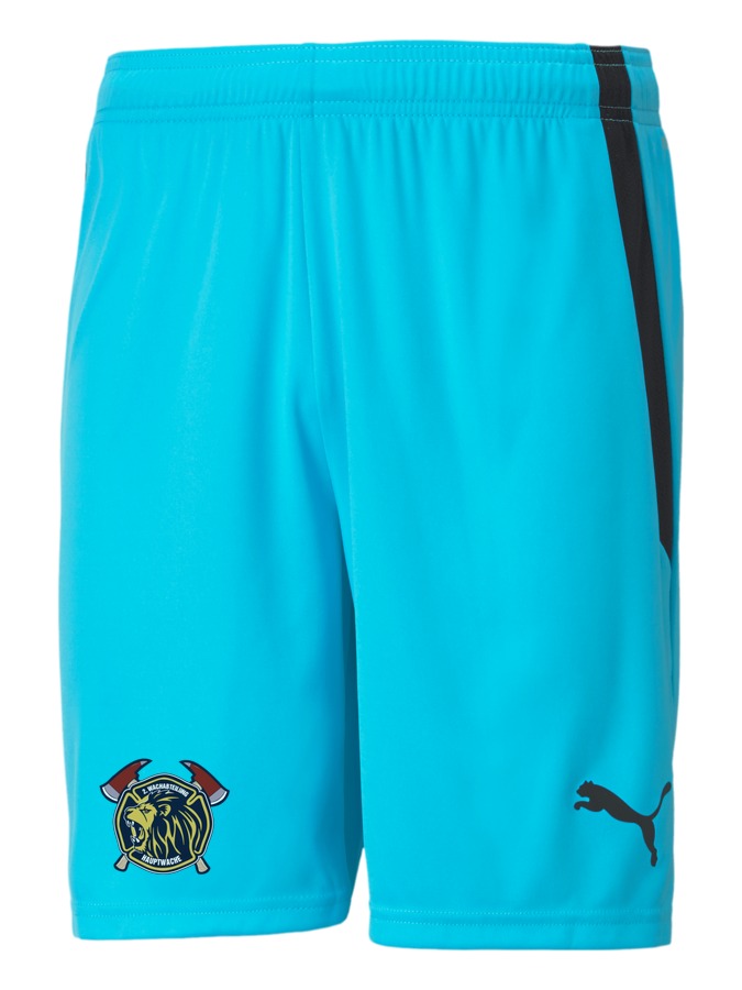 PUMA teamLIGA Shorts