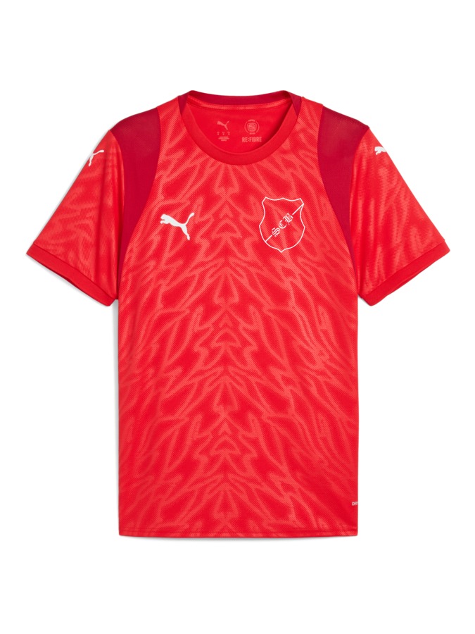 PUMA teamCUP Trikot