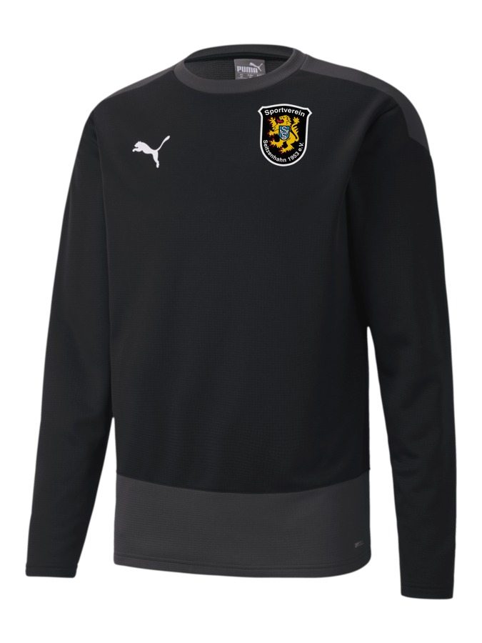 PUMA teamGOAL 23 Training Sweatshirt