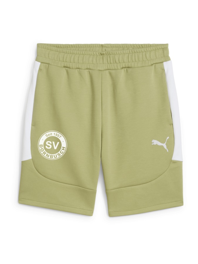 PUMA teamEVOSTRIPE Shorts